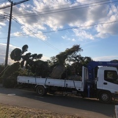 植木職人大募集！