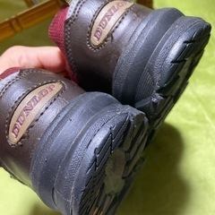 ダンロップ23センチの画像