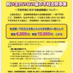 宮城県の飼い主のいない猫の不妊手術には県から助成金が出ます。
