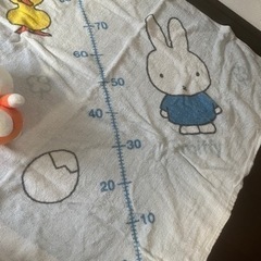 ミッフィー　バスタオルとぬいぐるみの画像