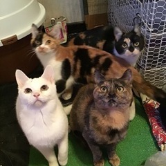 里親さん募集(^.^)