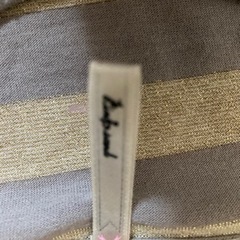 レディースTシャツ⑤の画像