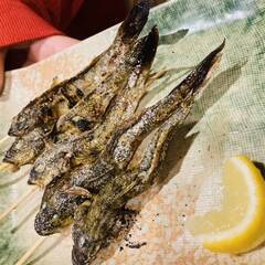 クリぼっちで集まって釣りしようよ♪