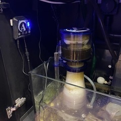 海水生体各種の画像