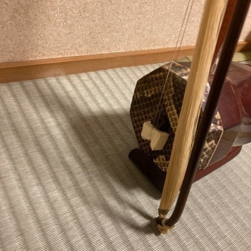 決まりました♡ 二胡　ケース付き 