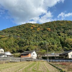 田川市夏吉の山林  約４千坪  格安。サバイバルキャンプ向  月...