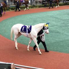 競馬、競艇好きな人募集