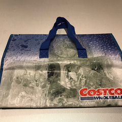 1,900円を1,100円に40%OFFしました！年末の買い物に１そこそこ珍しい、コストコオリジナル旧型クーラーバッグ売りますの画像