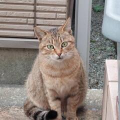 幸せな家族の元へ！