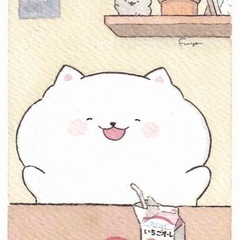 オンラインでお喋りしましょ✨