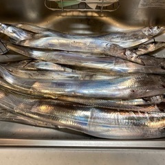 ルアー釣り仲間募集！ − 神奈川県