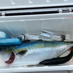 ルアー釣り仲間募集！ - 友達