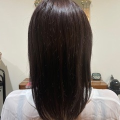 カットモデル募集