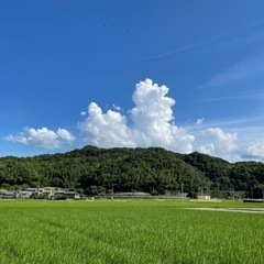 令和3年 にこまる 新米 お酢散布玄米