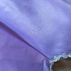 プリンセス ドレス の画像