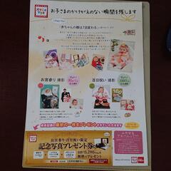 スタジオマリオ  記念写真プレゼント券
