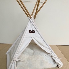 【受取者決定】ピティ　ピティー　ペット用　インテリア用　白