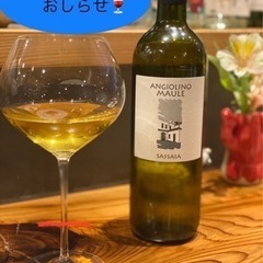 小倉ナチュールワイン会