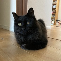 元気な男の子です！