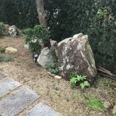 庭石　踏み石　観賞用岩　あげますの画像
