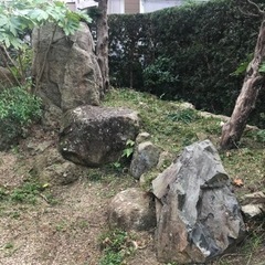 庭石　踏み石　観賞用岩　あげますの画像