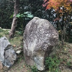 庭石　踏み石　観賞用岩　あげます