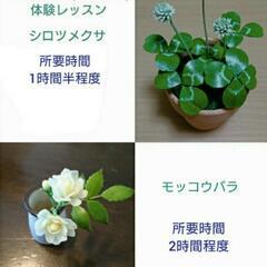 樹脂粘土でかわいいお花を作りましょう🎵