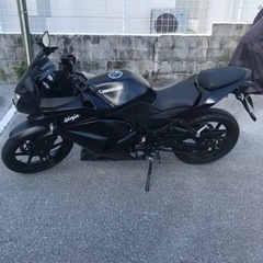 Ninja250r  20万の画像