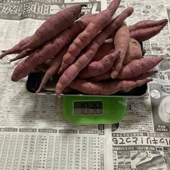 受付終了!!ありがとうございました!!8袋限定!!さつまいも1k...