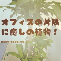 《WワークOK！》時給1200円～ PC打込み中心の事務業務！の画像