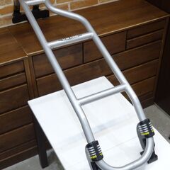 TERZO リアラダー JX67 キャリア キャリー ハシゴ 【...