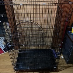 ペットゲージ【決まりました】