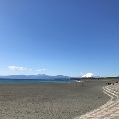 🌸のんびり友達募集🌸