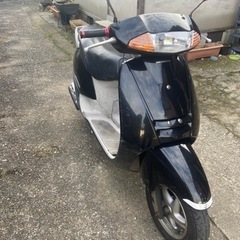 リード100 今年までに来てくださるなら3万円で