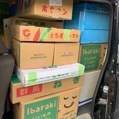 🔥定期案件🔥直行直帰可能✨野菜ルート配送‼️の画像