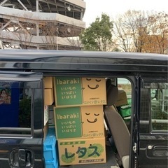 🔥定期案件🔥直行直帰可能✨野菜ルート配送‼️の画像