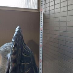 信楽焼のたぬきの画像