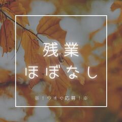 ◆学歴不問・履歴書不要・未経験歓迎◆ドライバー助手スタッフ！Wワーク・副業歓迎◎日払い制度で金欠解消♪【nk】A12K0232-1(1)の画像