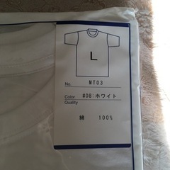 フランスミシュラン製