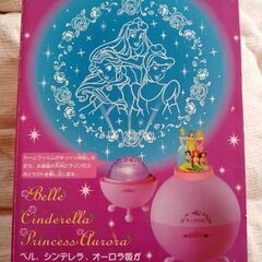 🕌ディズニープリンセス  ルームライト🕌の画像