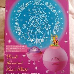 🕌ディズニープリンセス  ルームライト🕌の画像