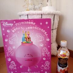 🕌ディズニープリンセス  ルームライト🕌の画像