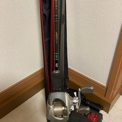ブラックバスの中古が安い！激安で譲ります・無料であげます(14