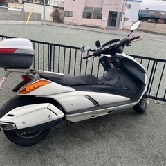 ジェンマの画像