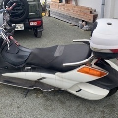 ジェンマの画像