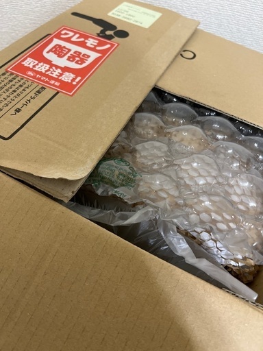 アラビア　トゥオキオ　ボール　１８㎝　2個セット　丼