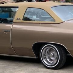 インパラの画像