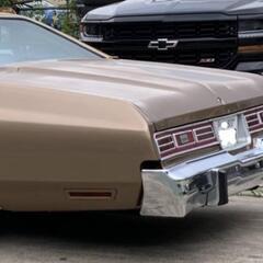 インパラの画像