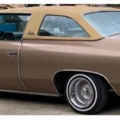 インパラの画像