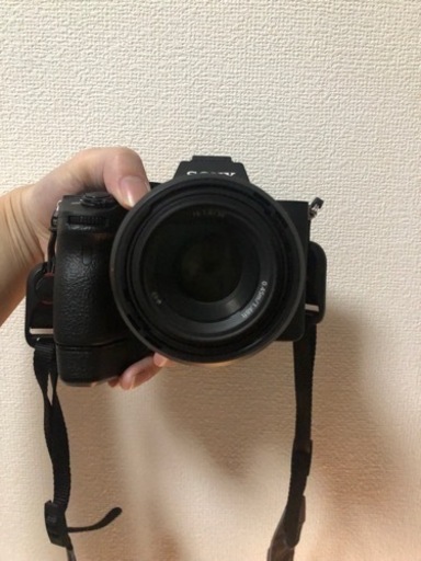 （Sold)ソニー　ＳＯＮＹ　交換レンズ　ＦＥ　５０ｍｍ　Ｆ１．８　ＳＥＬ５０Ｆ１８Ｆ　超美品